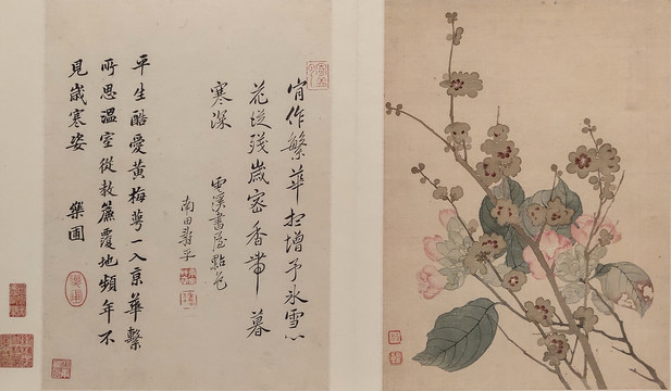 惲壽平清代惲壽平花卉國畫