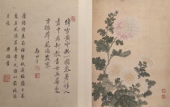 惲壽平清代惲壽平花卉國畫