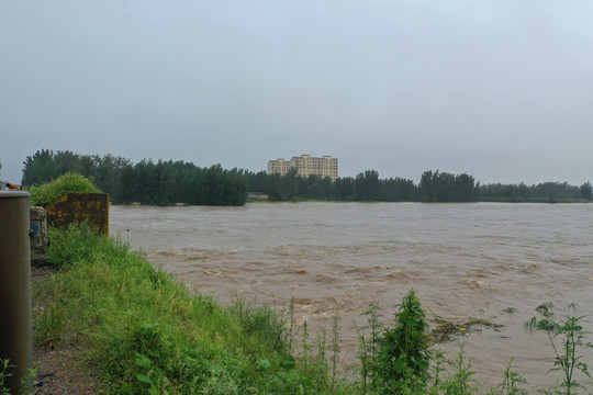 大雨洪水沭河