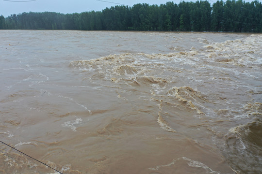 大雨洪水沭河