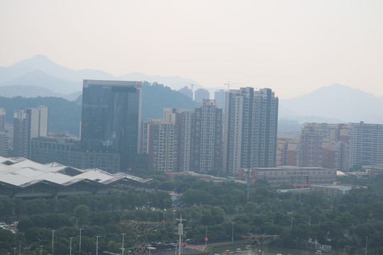 中山市紫马岭公园动物和风景图片