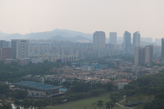 中山市紫马岭公园动物和风景图片