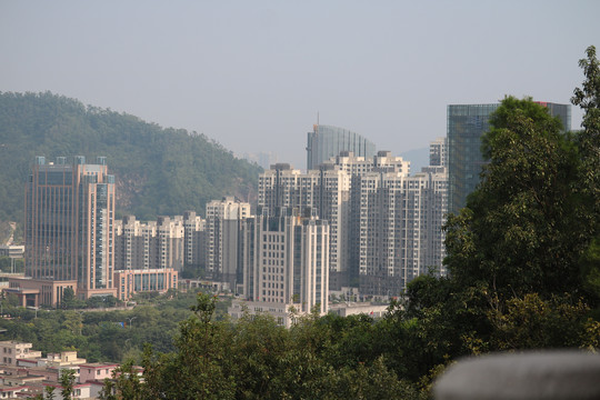 中山市紫马岭公园动物和风景图片