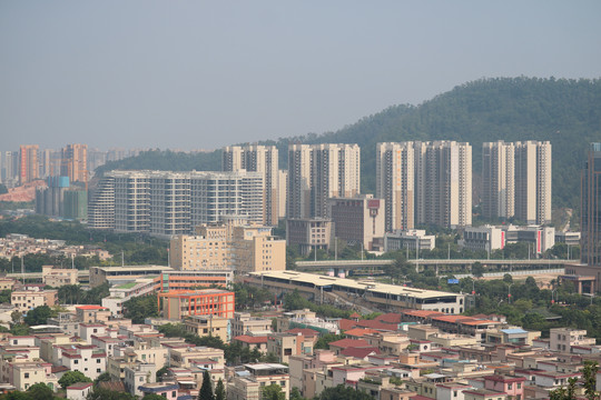 中山市紫马岭公园动物和风景图片