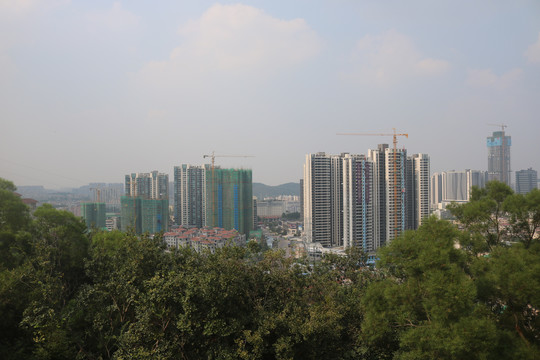 中山市紫马岭公园动物和风景图片