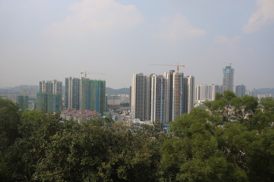 中山市紫馬嶺公園動物和風景圖片
