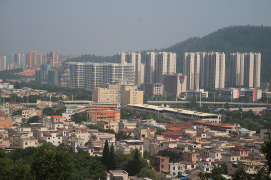 中山市紫马岭公园动物和风景图片