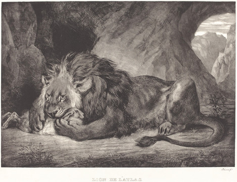 德拉克洛瓦素描狮子