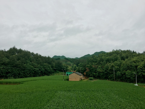 乡村风景