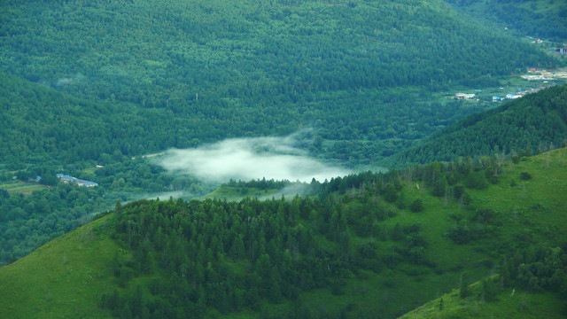 阿爾山旅游