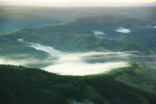 高山下的树林