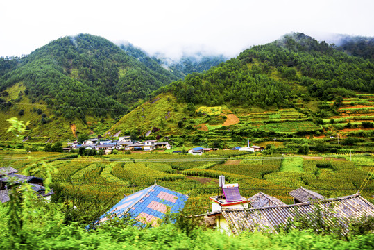 山村梯田