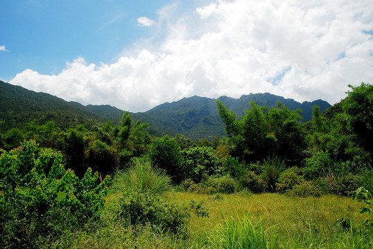 山区田野