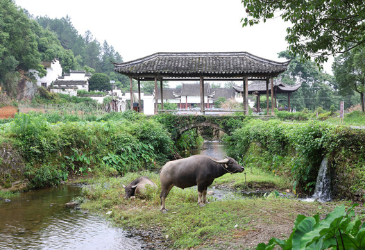 江南风光