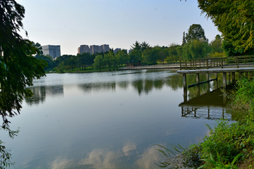 成都双流中心公园湖畔风景