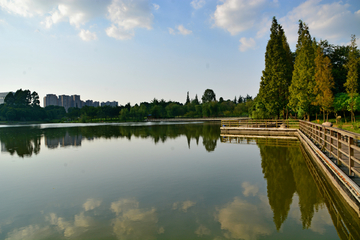 成都双流中心公园湖畔风景