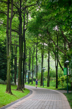 清晨绿色步道