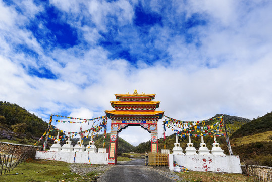 宗教寺庙生态草地金碧辉煌