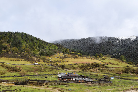 森林高原生态草地