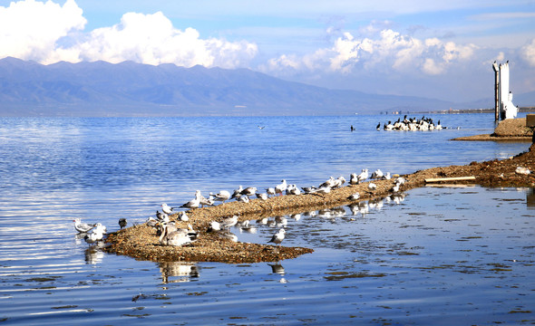 青海湖