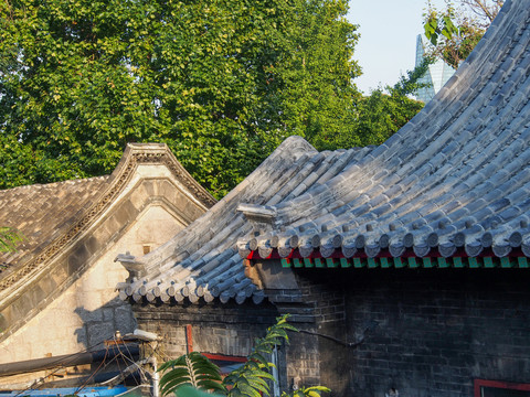 青岛湛山寺