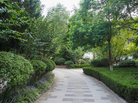青岛植物园