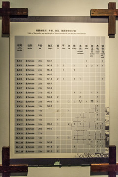 陪葬者性别年龄随葬器物统计表