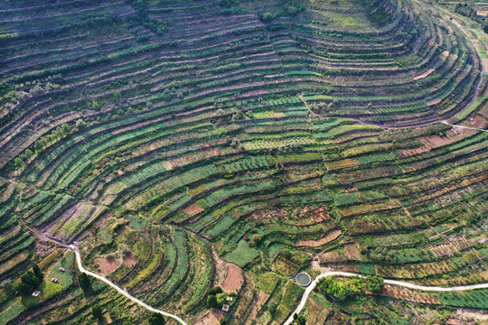 山东枣庄山亭区山乡梯田