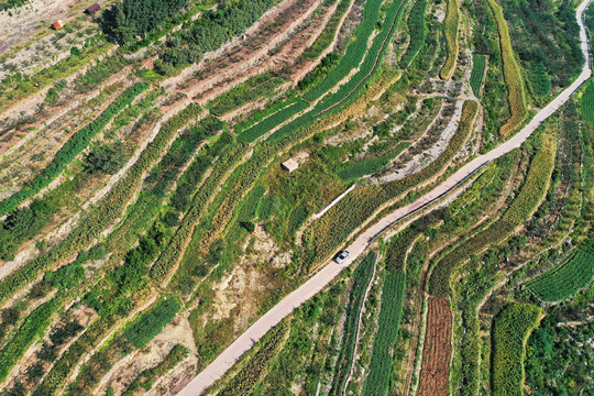 山东枣庄山亭区山乡梯田