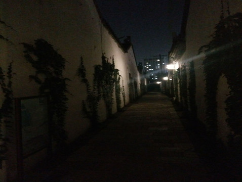 青果巷夜景2