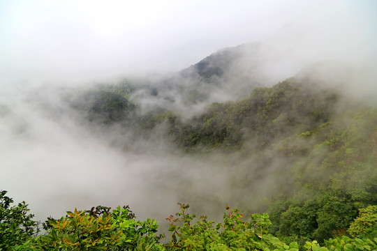 雾漫群山