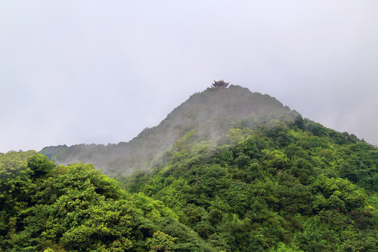 高山云雾