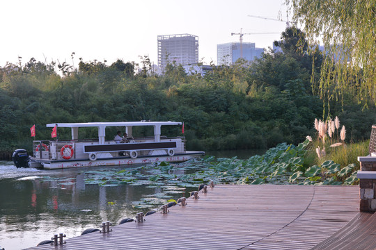 漯河小南湖公园