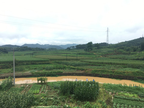 黄色河水