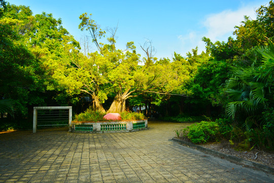 粤晖园风景