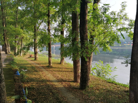 坎市沿河路