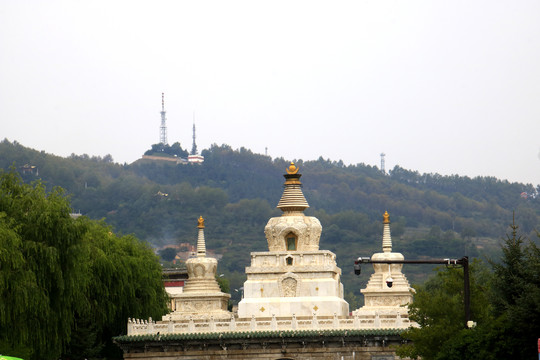 青海塔尔寺