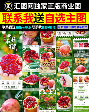 突尼斯石榴詳情頁