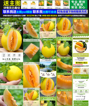 黃河蜜瓜詳情頁