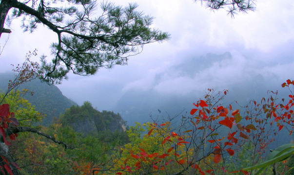 长峡天池18