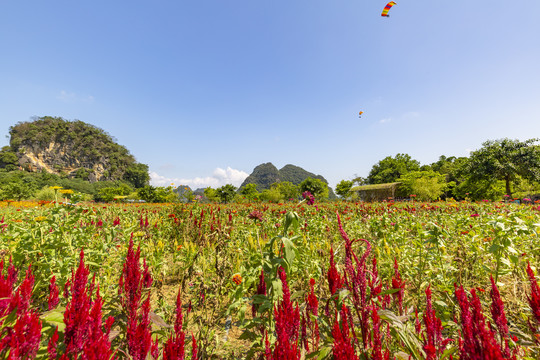 九龙峰林小镇景区绿色植被