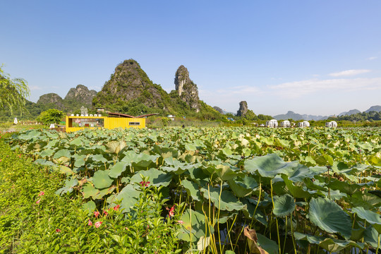 九龙峰林小镇景区风景