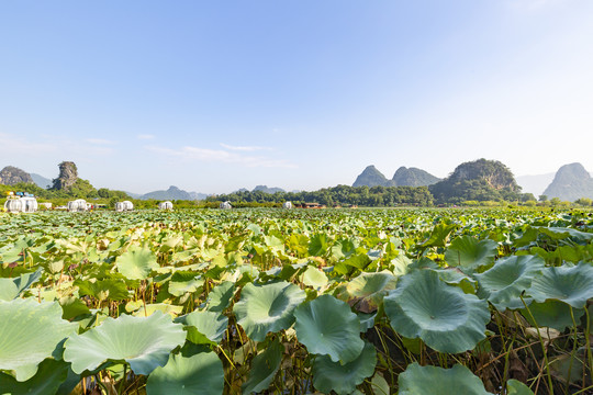 九龙峰林小镇景区风景