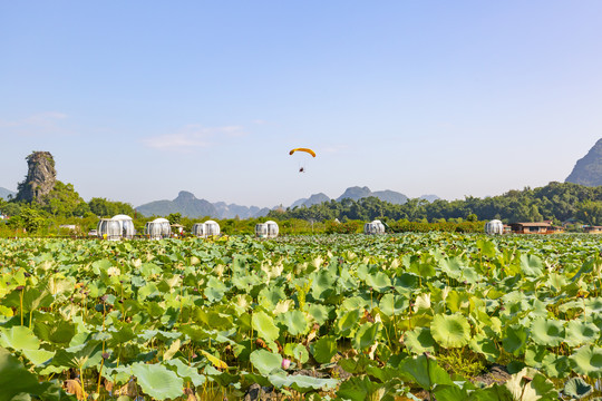 九龙峰林小镇景区风景