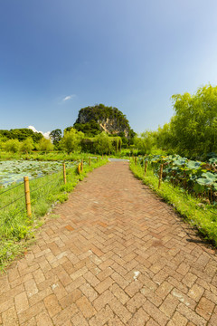 九龙峰林小镇景区风景