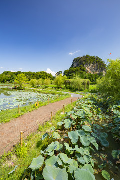 九龙峰林小镇景区风景