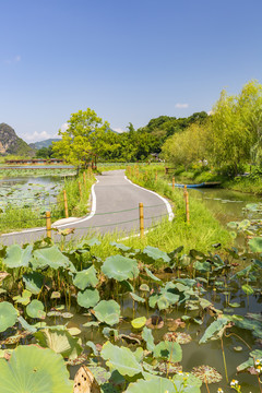 九龙峰林小镇景区风景