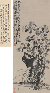 李方膺菊石圖