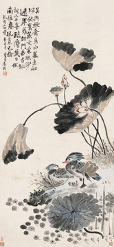 李鱓荷塘雙禽圖