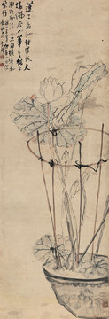 李鱓盆蓮圖